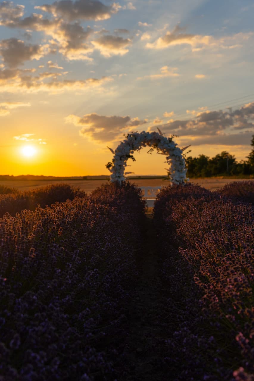Svadobný kvetinový dizajn Velvet Bloom Events — fotografia 16